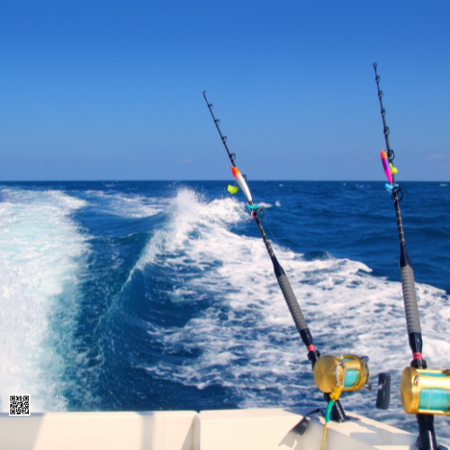 deep sea fishing sailfish marlin